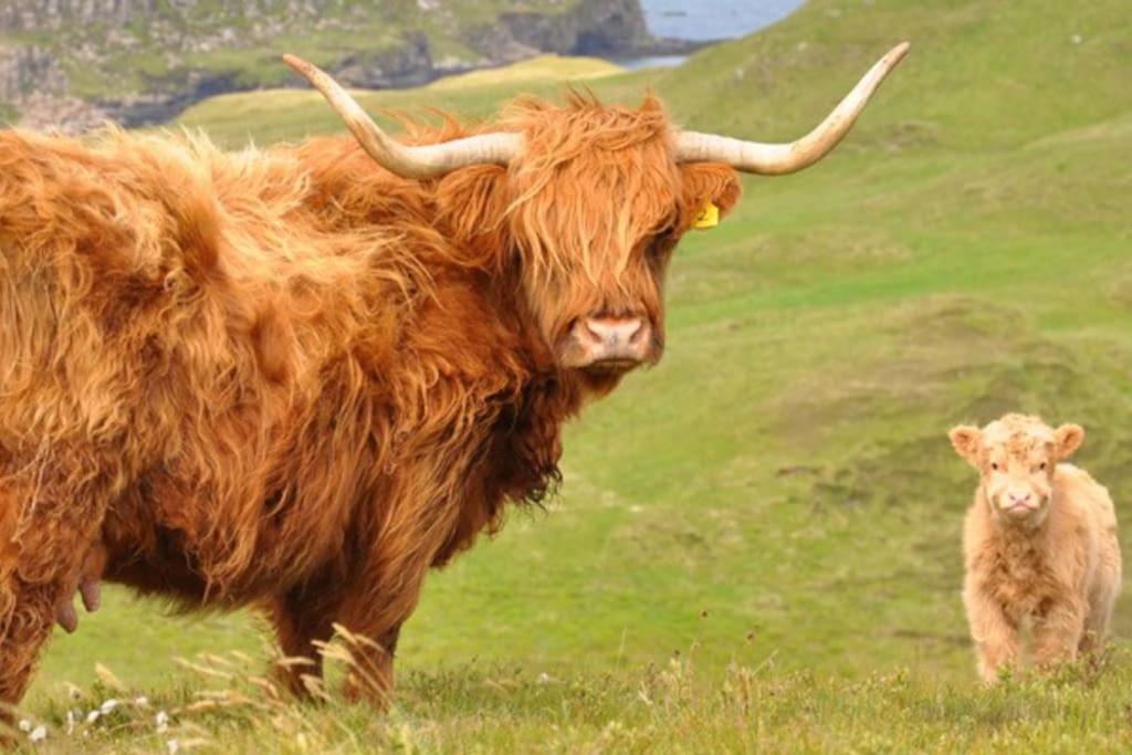 Glas Bheinn Cottage Luib Luaran gambar